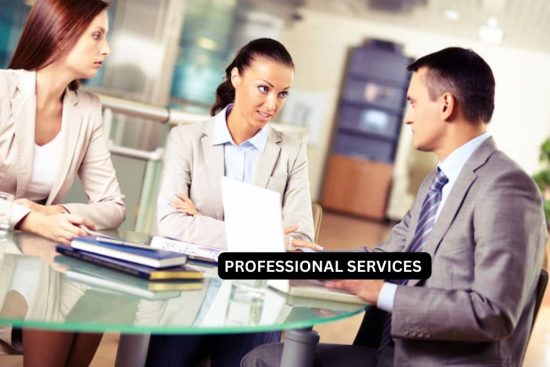 PROFESSIONAL SERVICES