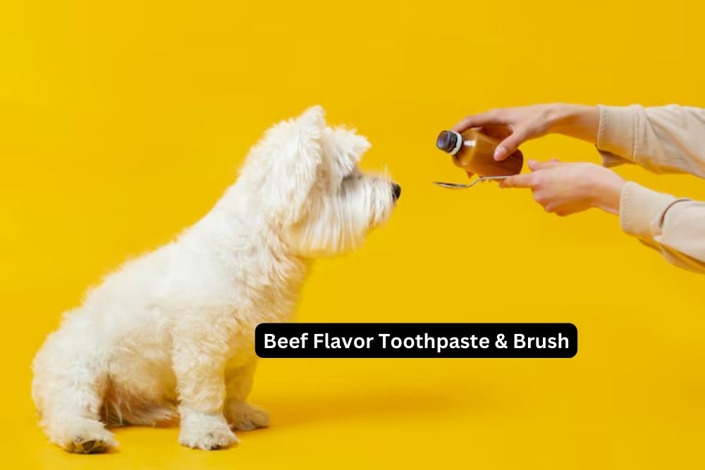 Beef Flavor Toothpaste & Brush