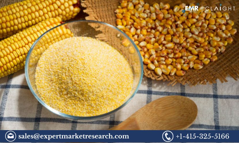 Corn Bran Market