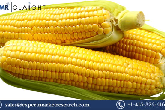 Corn Market