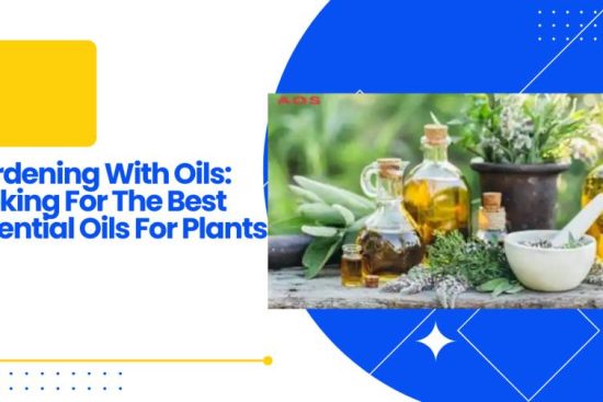 Gardening With Oils Looking For The Best Essential Oils For Plants