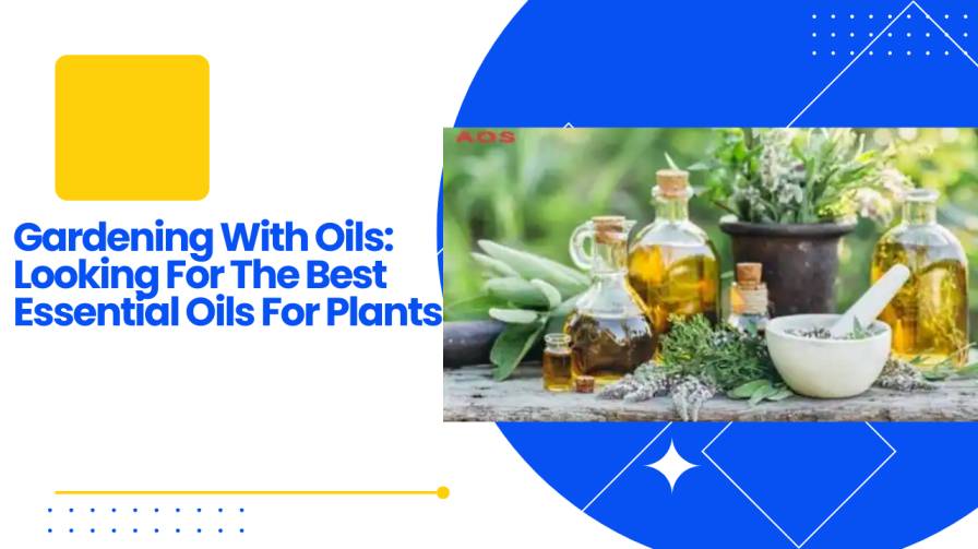 Gardening With Oils Looking For The Best Essential Oils For Plants