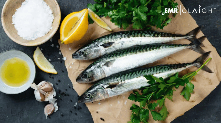 Omega 3 Market