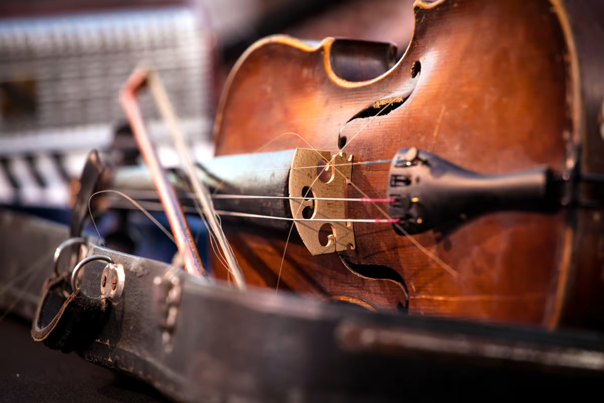 What-Makes-High-Quality-Violins-a-Long-Term-Investment