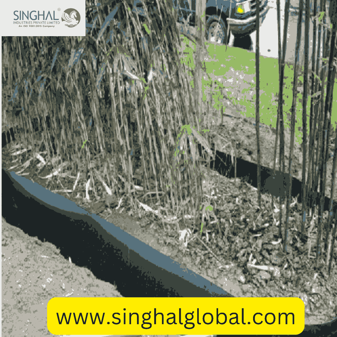 httpswww.singhalglobal.com_11zon (1)