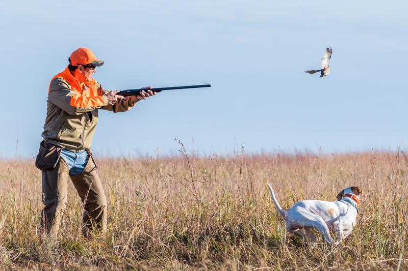 Family-Friendly Pheasant Hunts in Iowa: What You Need to Know