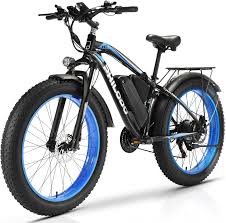 Adult Electric Bike