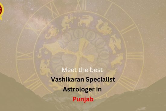 vashikaran specialist astrologer