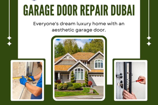 Garage Door remote Dubai (14)