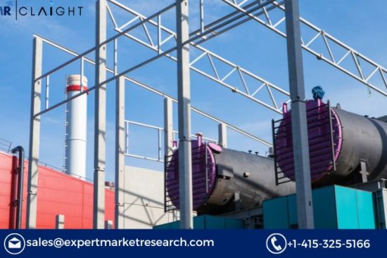 Industrial Biomass Boiler Market (1)