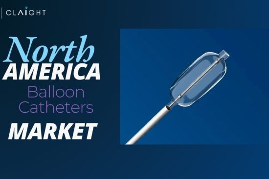 North America Balloon Catheters Market