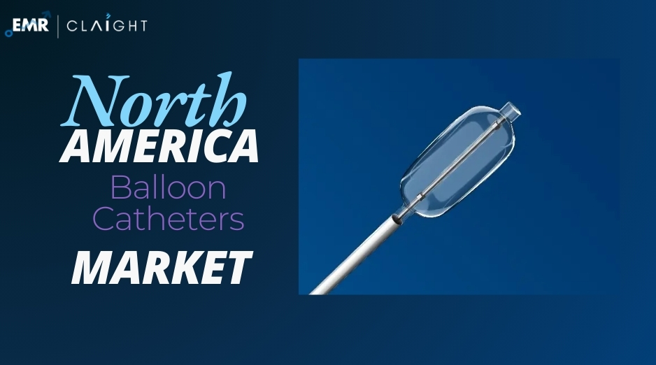 North America Balloon Catheters Market