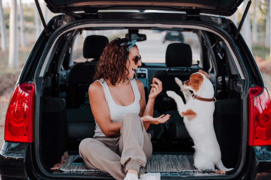 emmenetonchien-prendre-le-taxi-et-louer-une-voiture-avec-son-chien