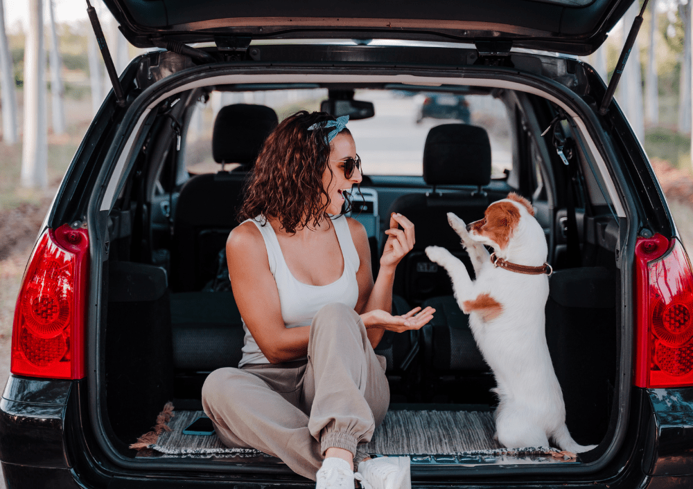 emmenetonchien-prendre-le-taxi-et-louer-une-voiture-avec-son-chien