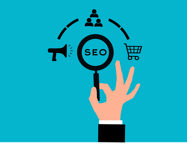 Top Local SEO Services in Lahore | Hiline Digital