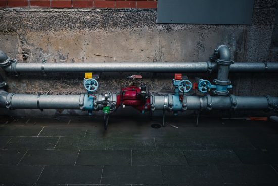 pexels-sonny-29248902